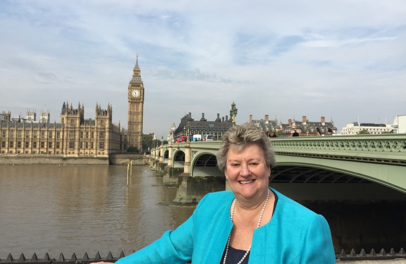 HW with Parliament Backdrop