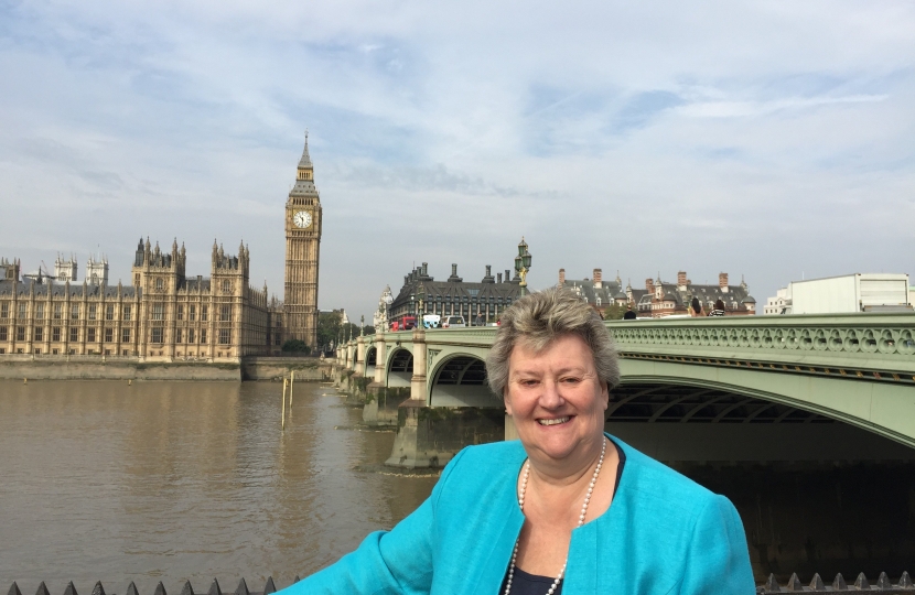 HW with Parliament Backdrop