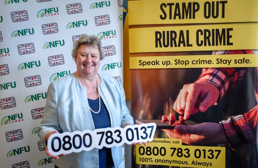 Heather Wheeler MP at the parliamentary launch of the NFU Rural Crime Reporting Line in Westminster